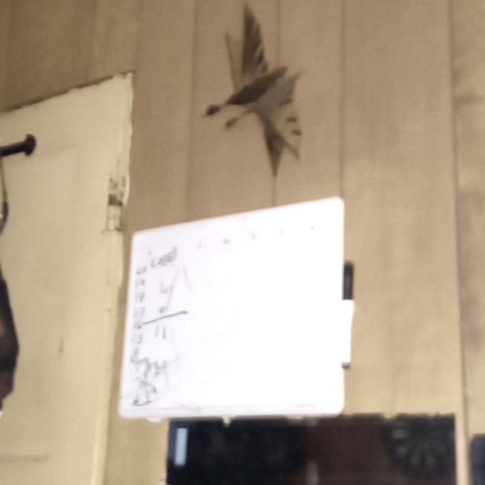 dry erase board